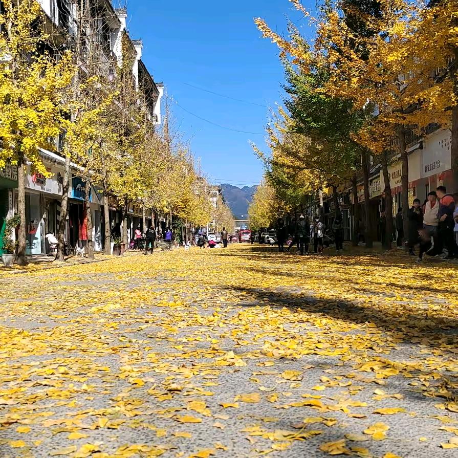 走，带你切晃！