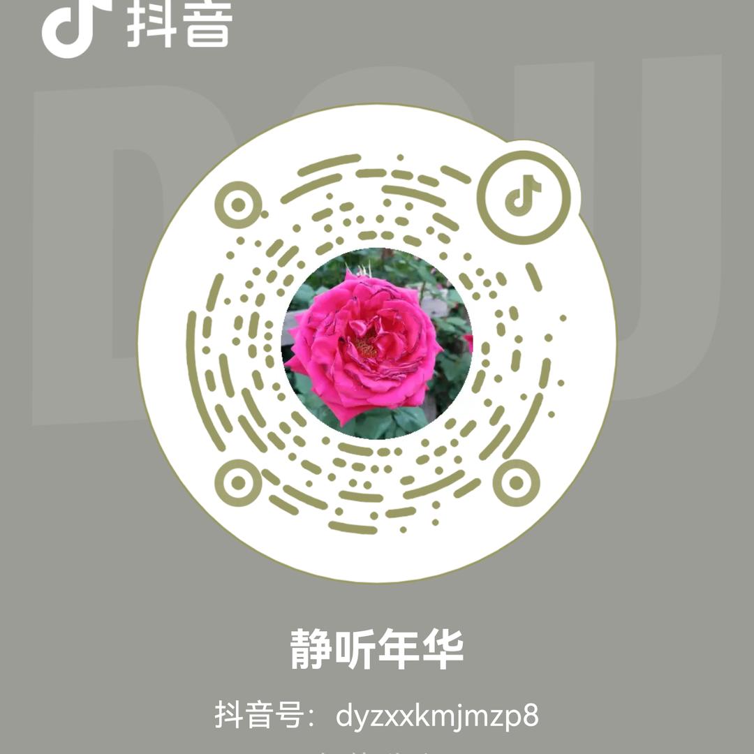 静听年华