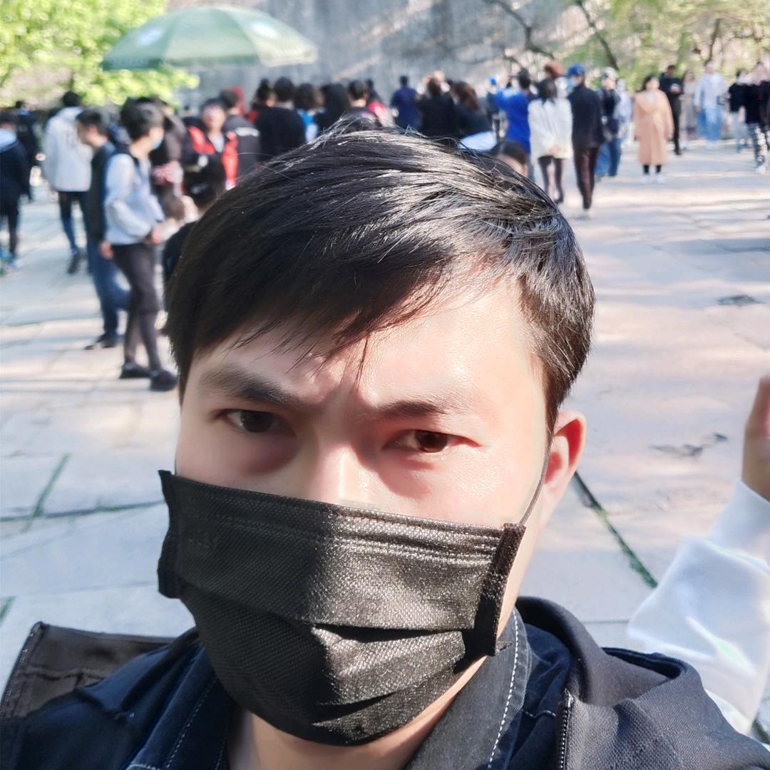 巢巢不巢