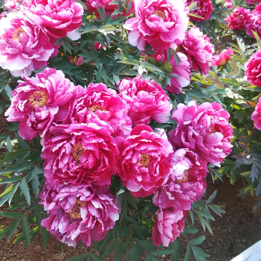 快乐每一天（请回关）