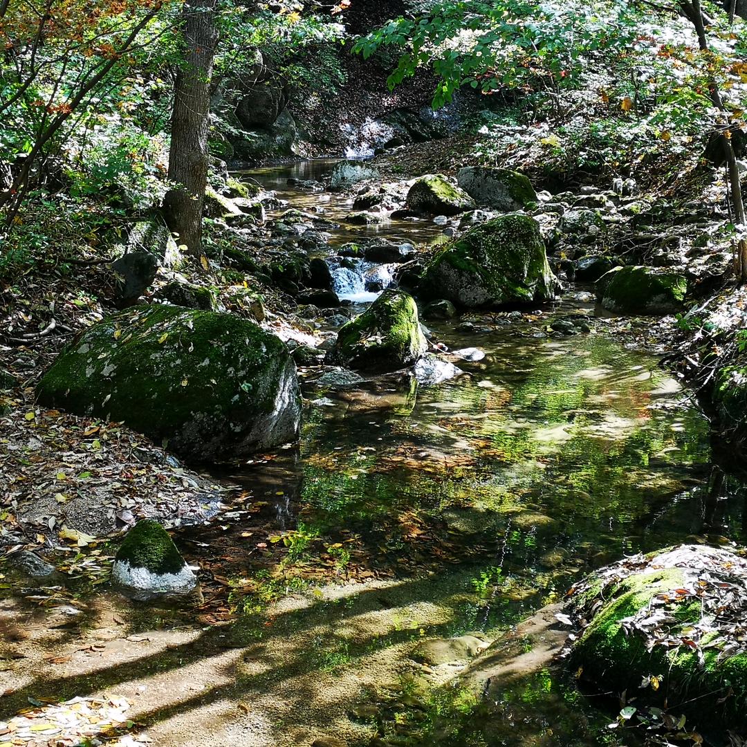 小鱼上岸了