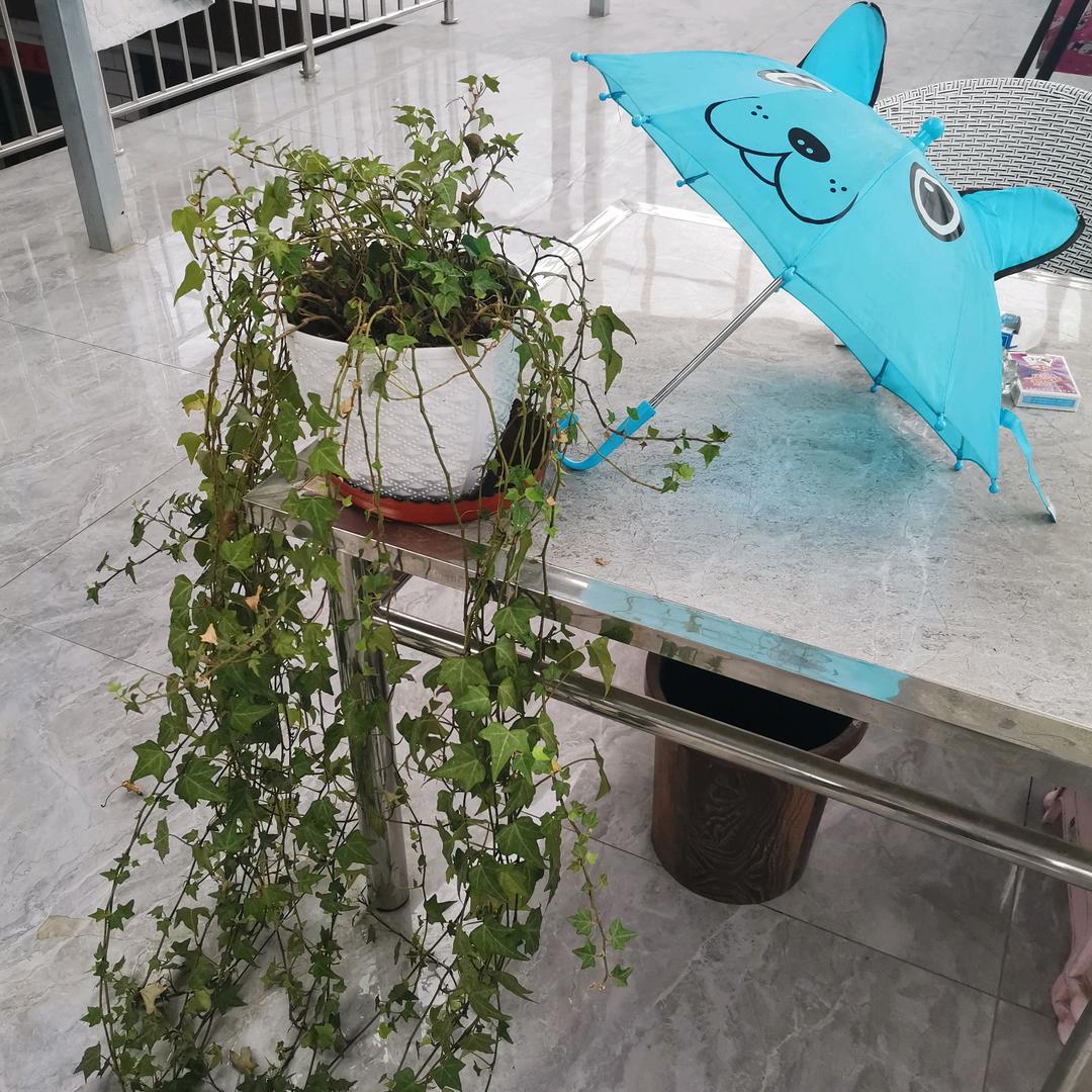 天会睛，心会暖