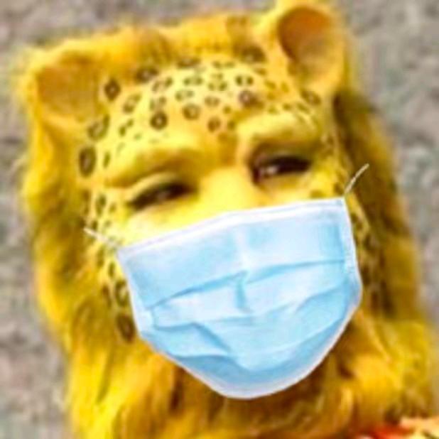 檀