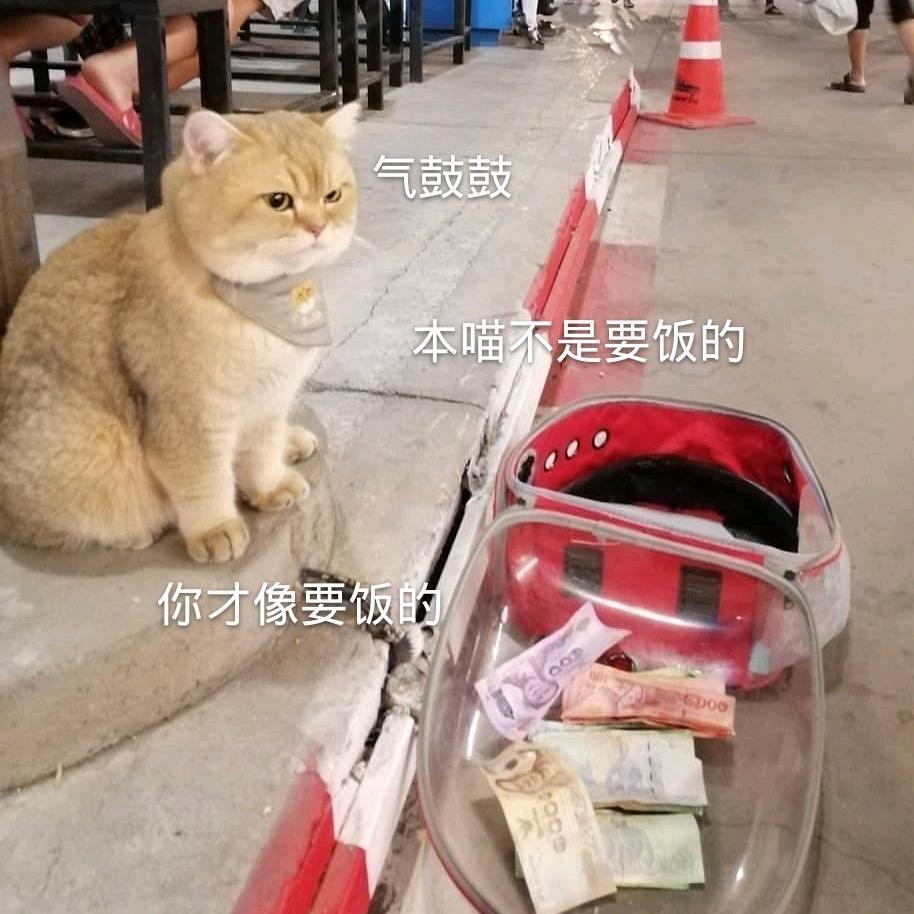 看到请让我去背实务