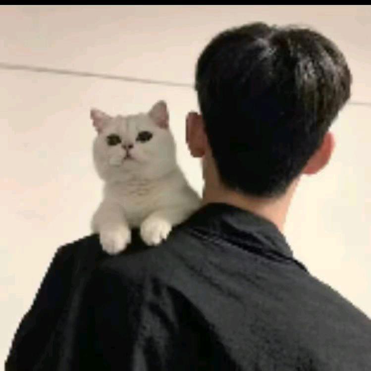 @博克