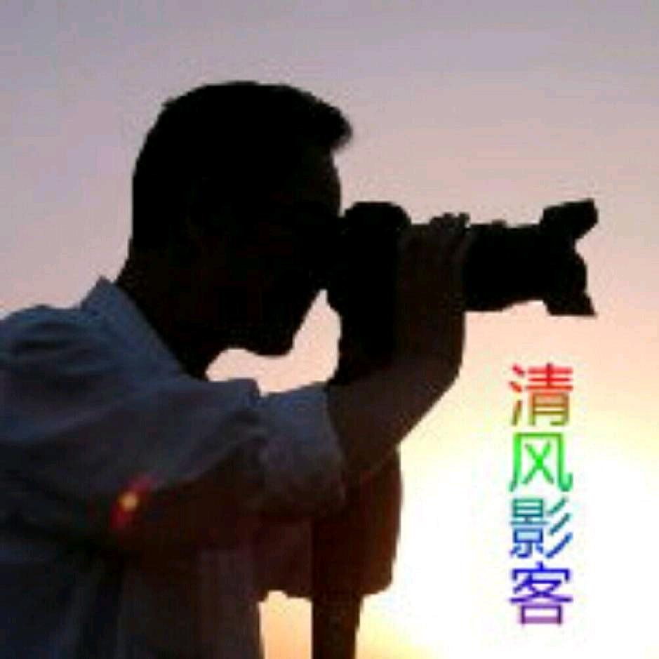 清风影客