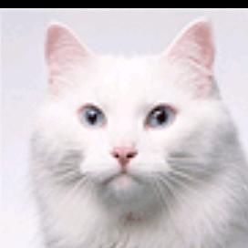 ࿔༎࿔⍨相忘໊ཀྃ江湖✨࿐