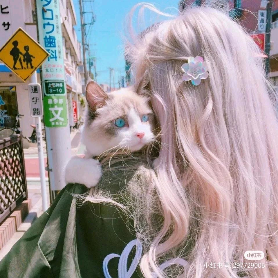 茶卡盐湖｡ω。