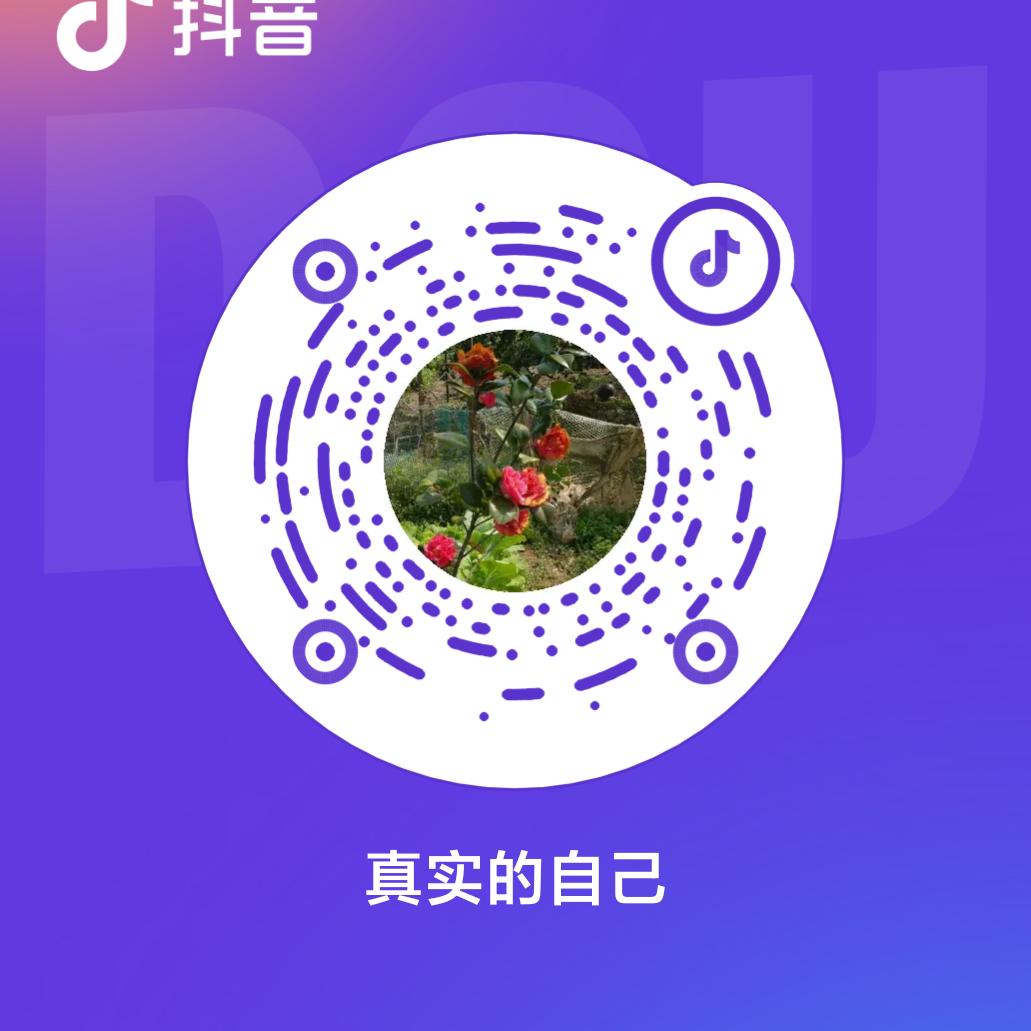 真实的自己