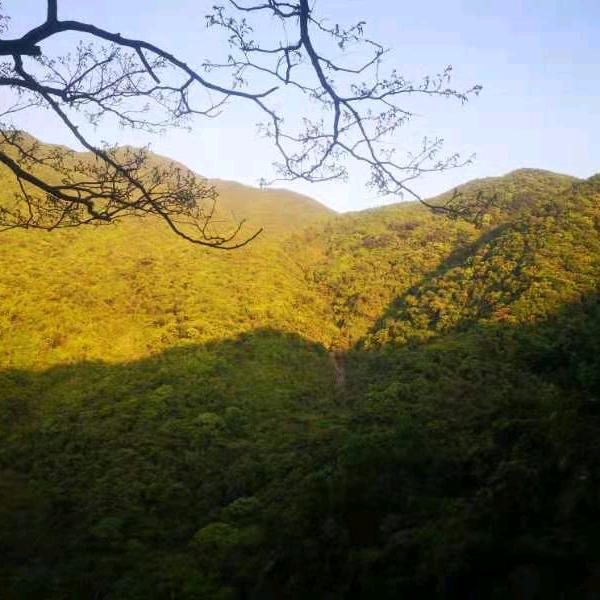 小鱼儿