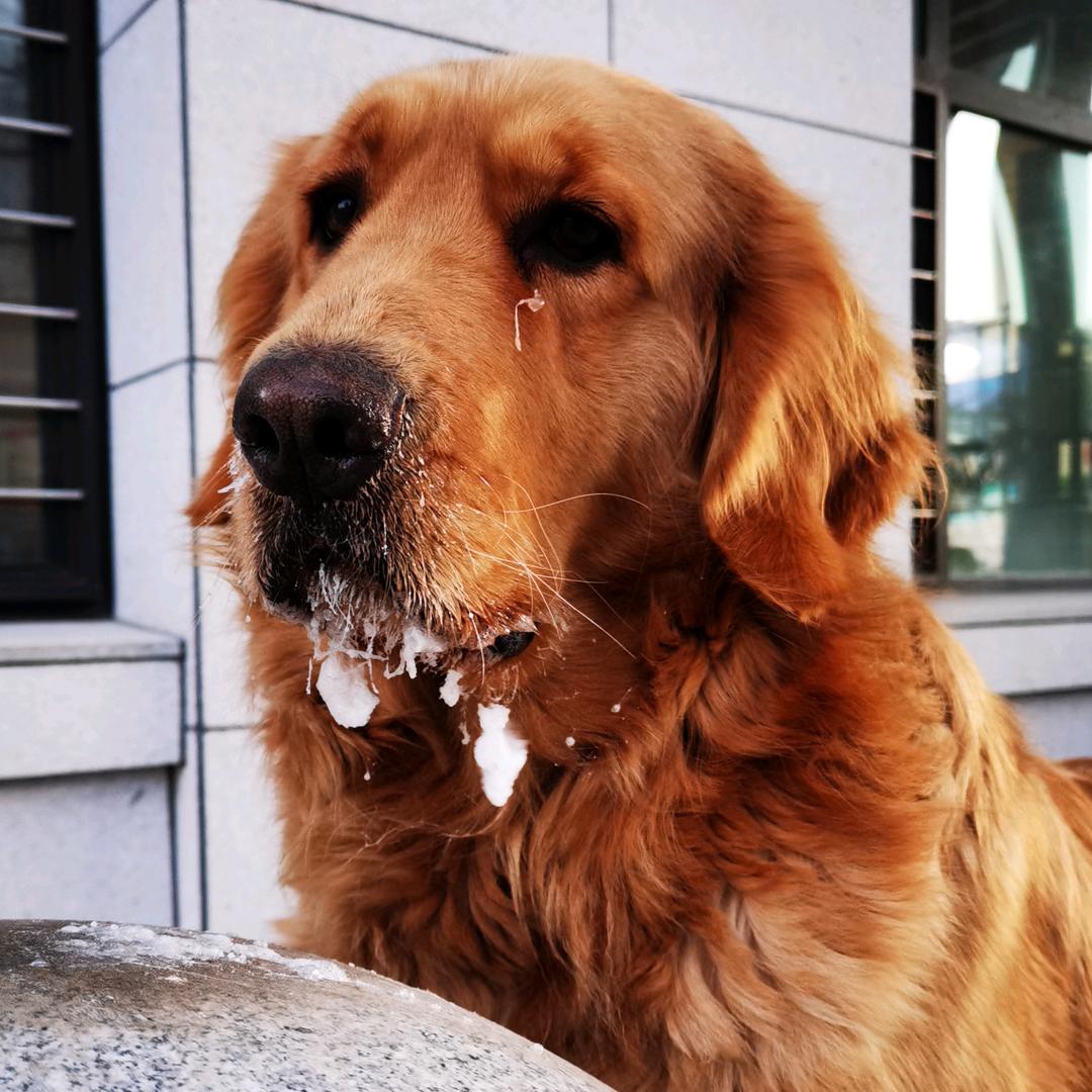 自驾游砖家.巴顿