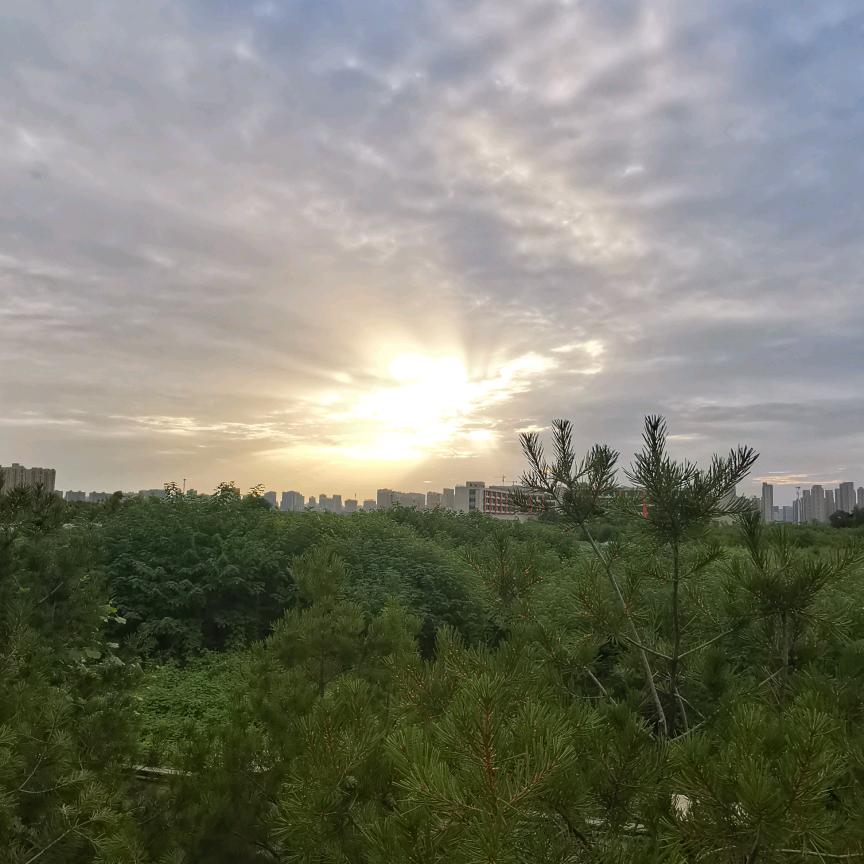 瞌睡De泡馍