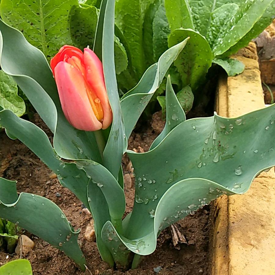 @༊太ღ᭄阳💞当☾空⋆᭄照💞