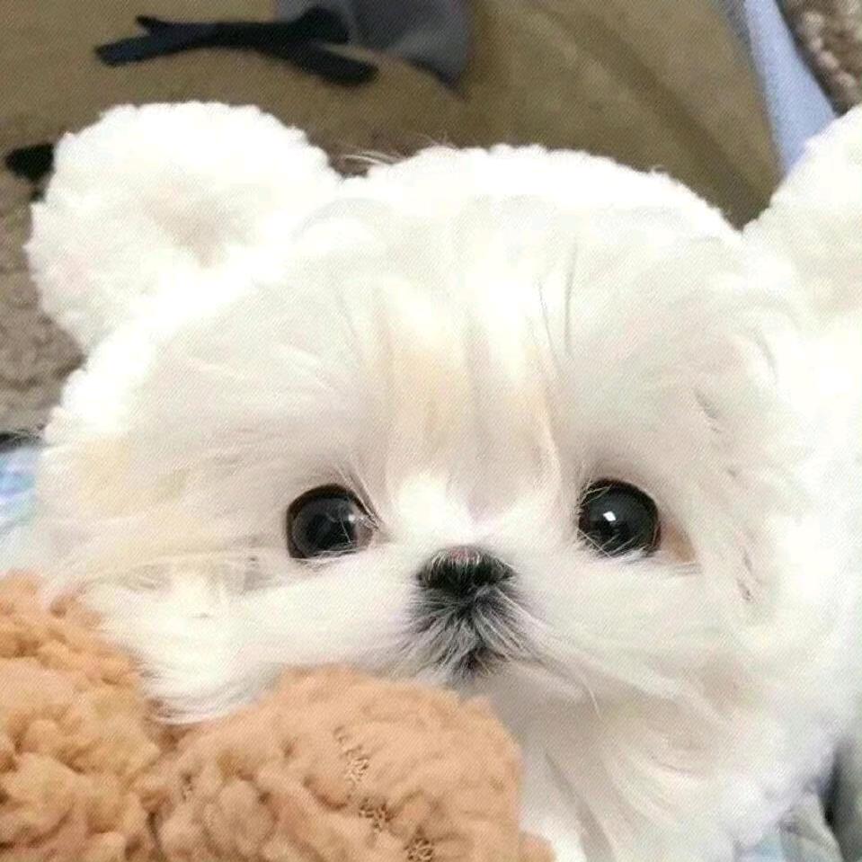 懒懒睡不醒