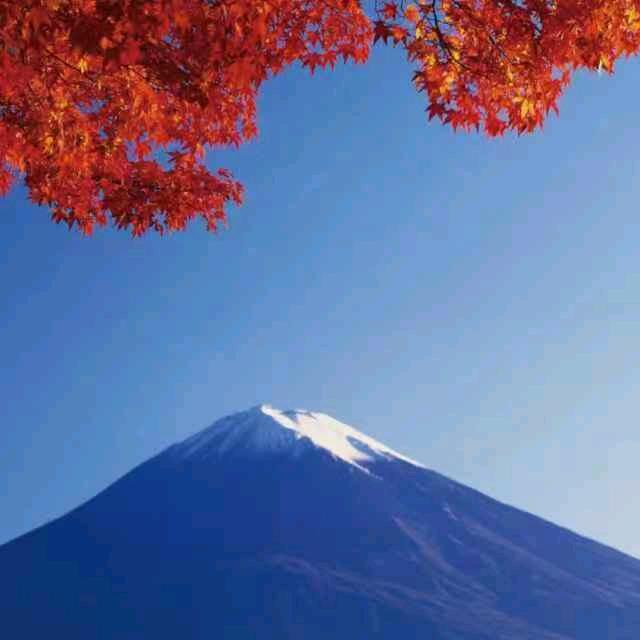 五彩的泡泡