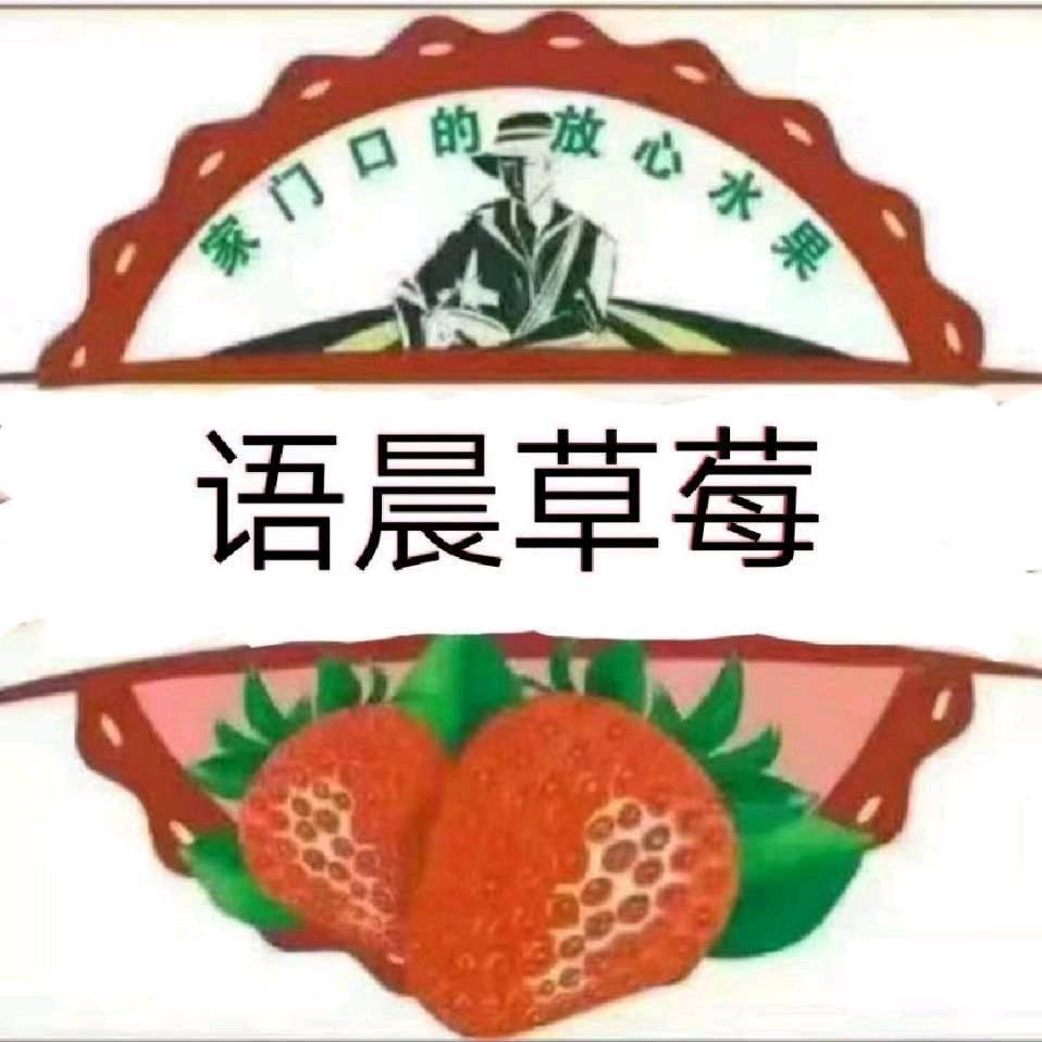 常州语晨草莓