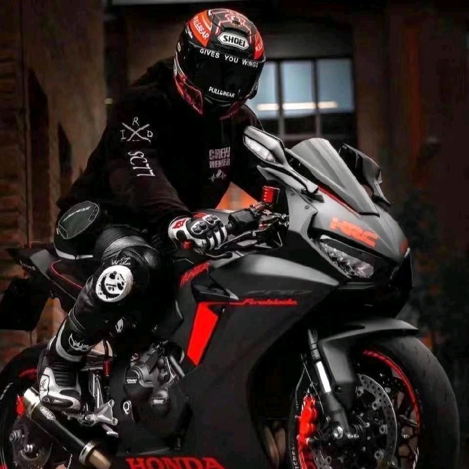 爱吃土豆🥔🥔