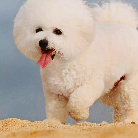 手机用户79896716164