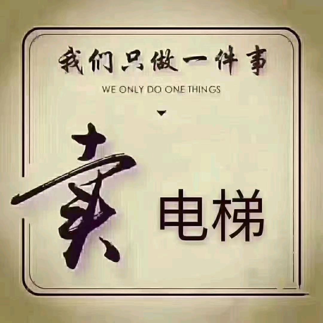 电梯及维保CEO（摇钱树）