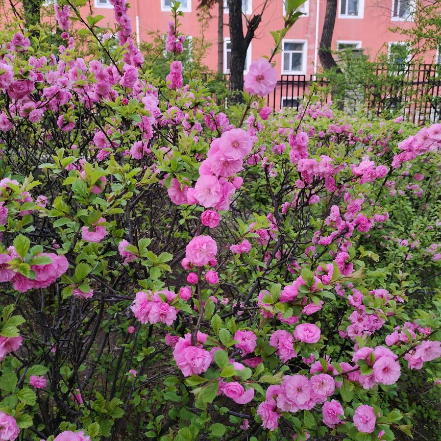 手机用户84058637736