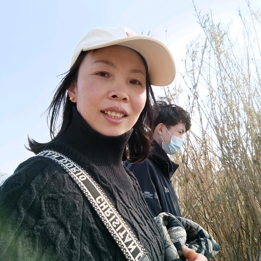 危险流浪者