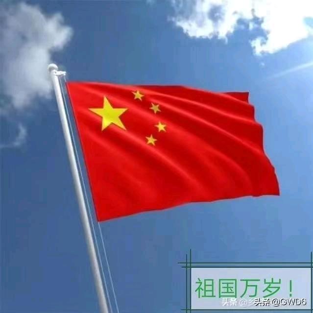 刘鑫
