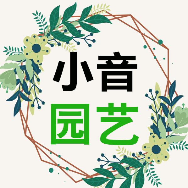 小音园艺—莹莹