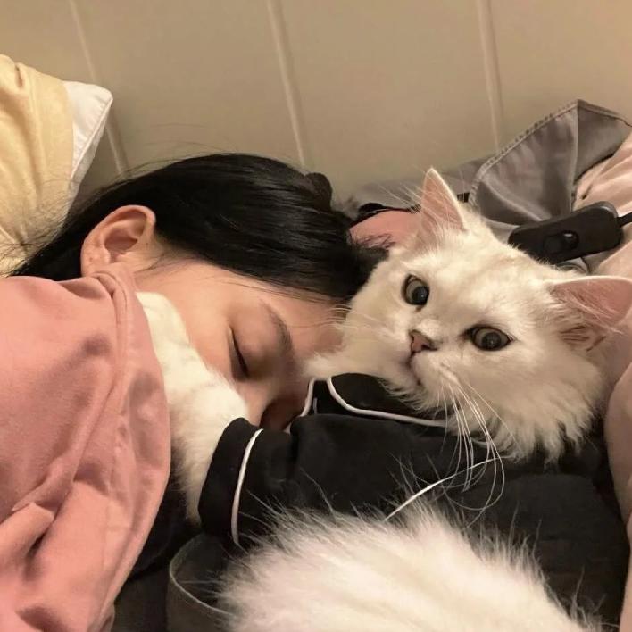 今天很困