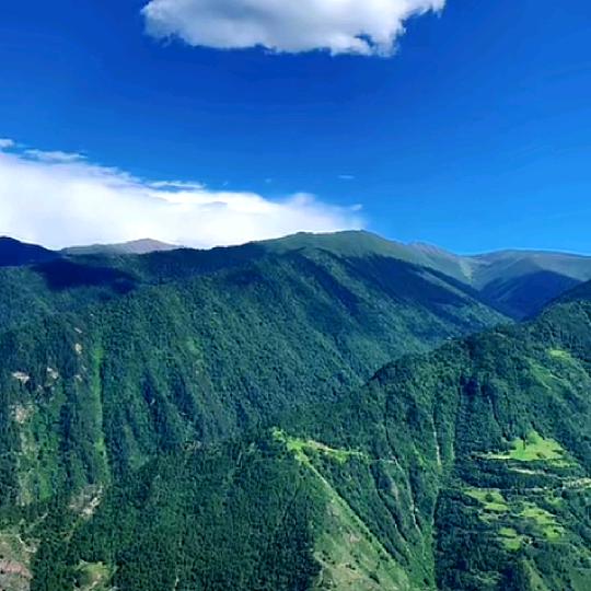 林海松涛