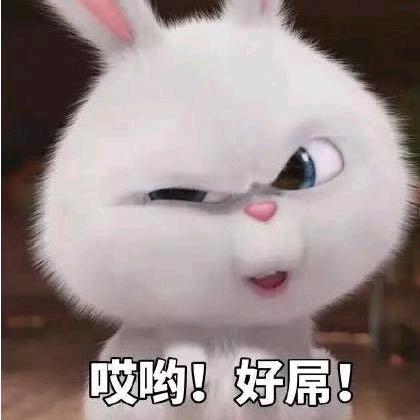 青龙