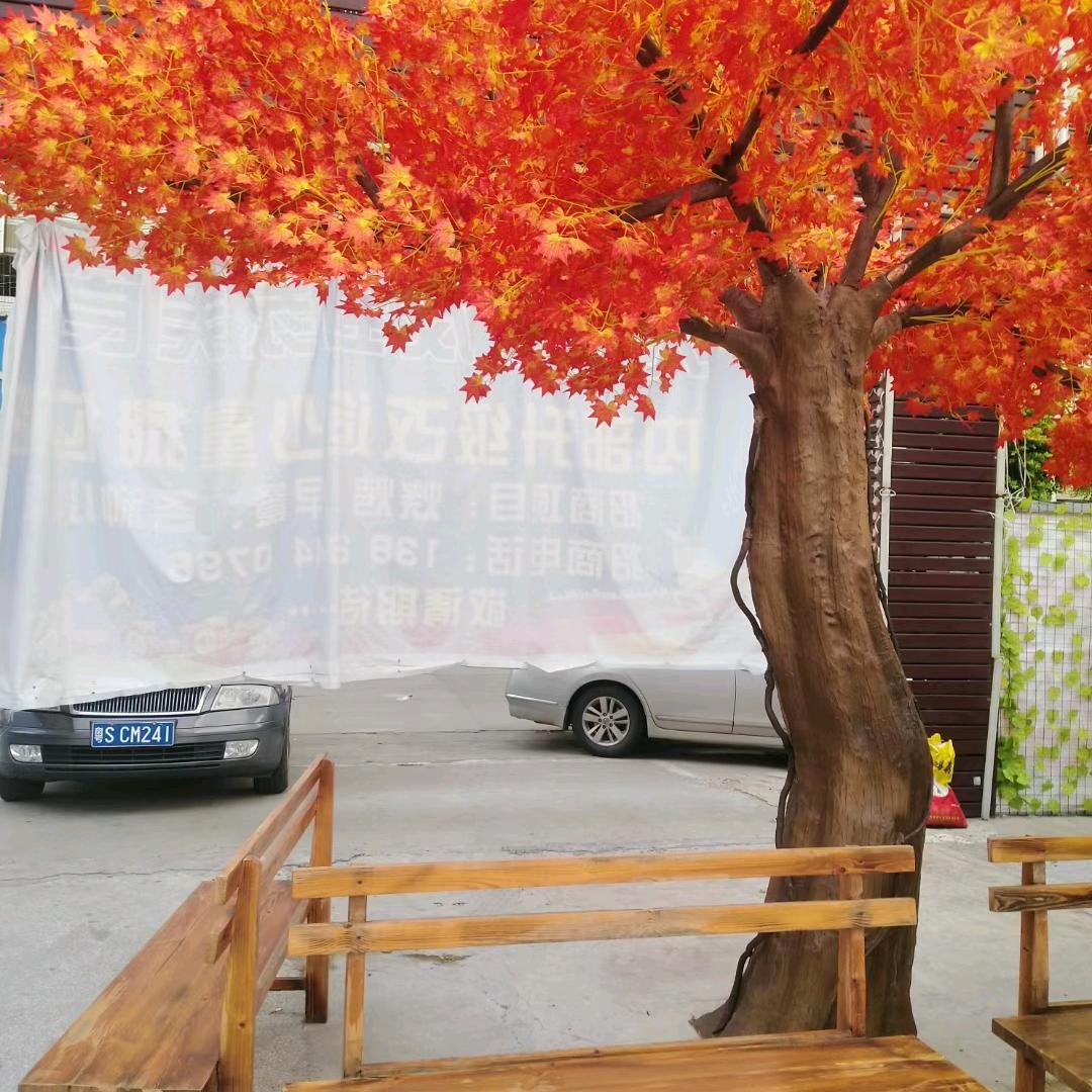 枞味遇见枕上书