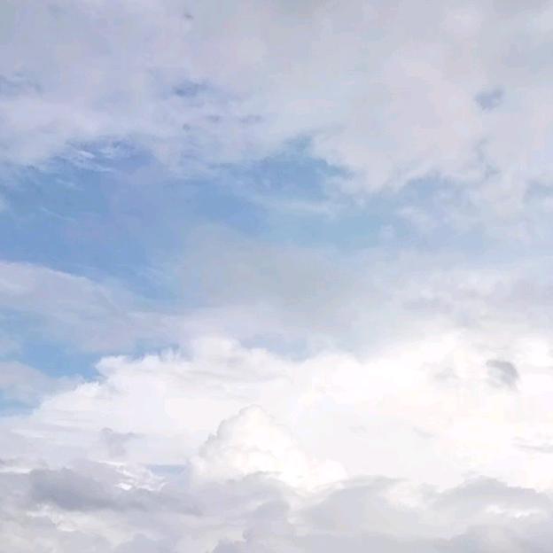 梦在青春在