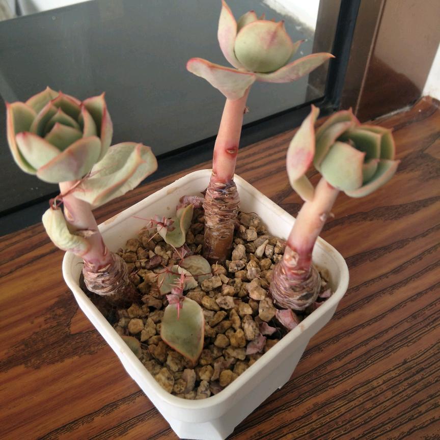 依山傍水好漂亮