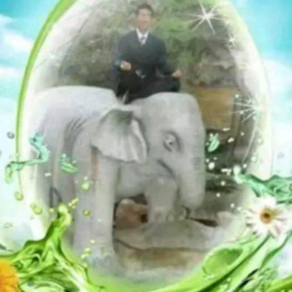 息心居士