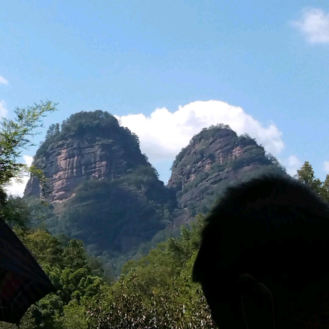 山林哥