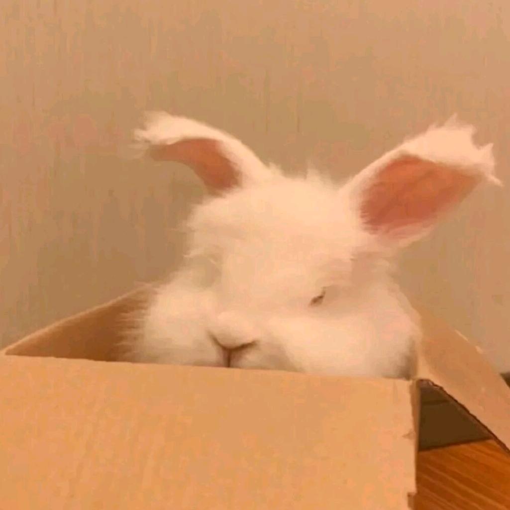 雷雅茜lucky