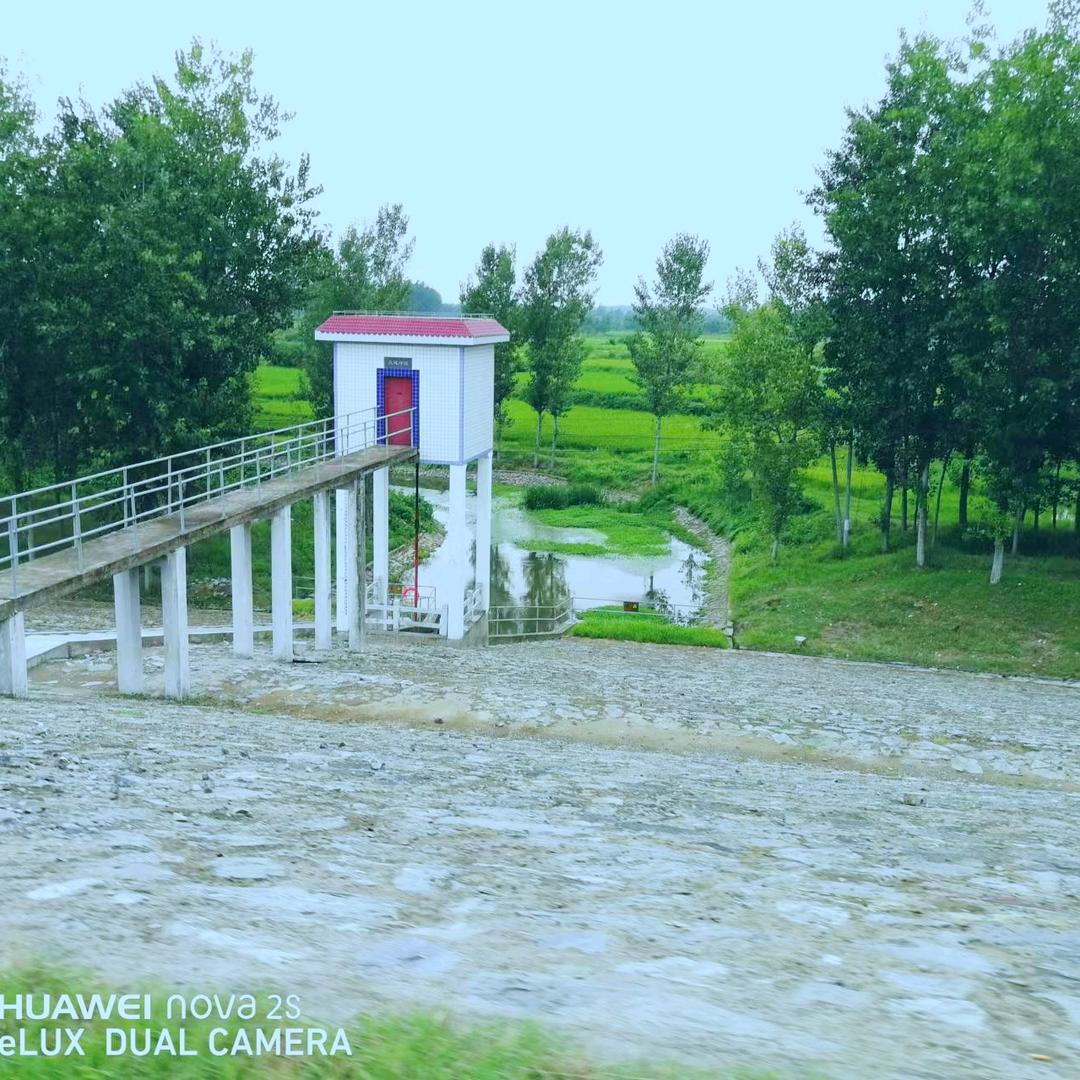 杨友华