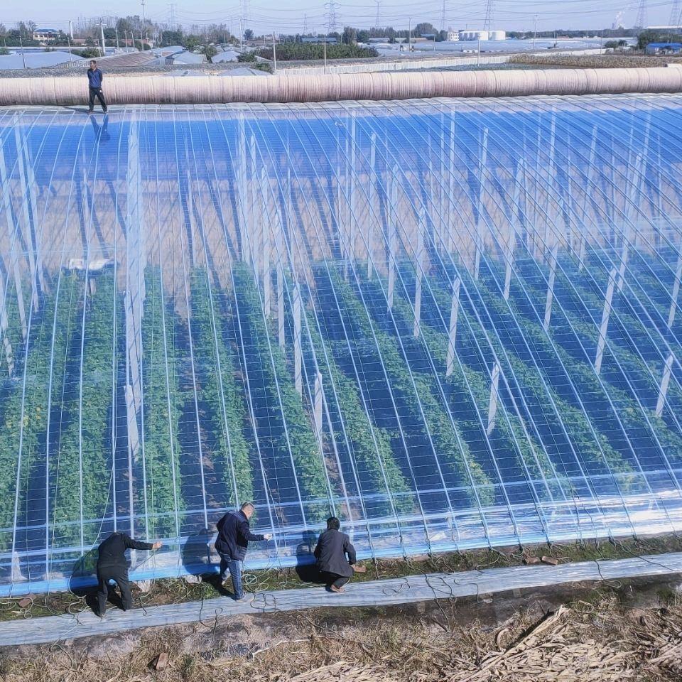 大丰收塑业企业店