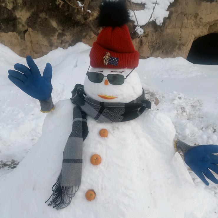 冬天里的向日葵