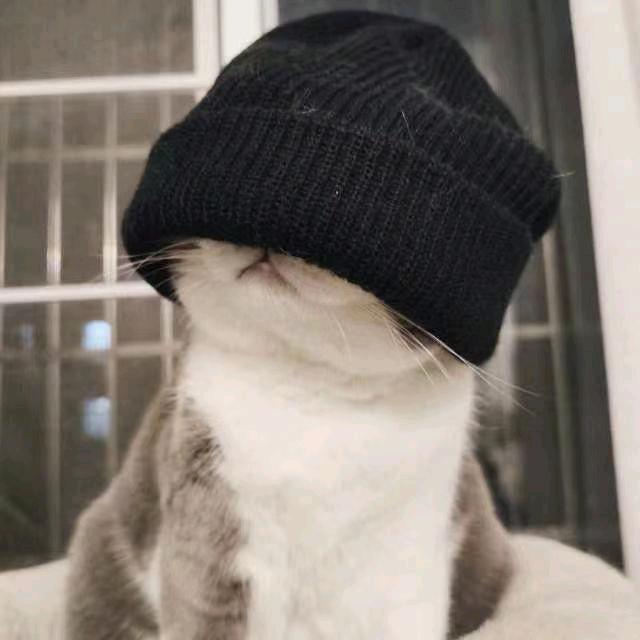 好运常在头像