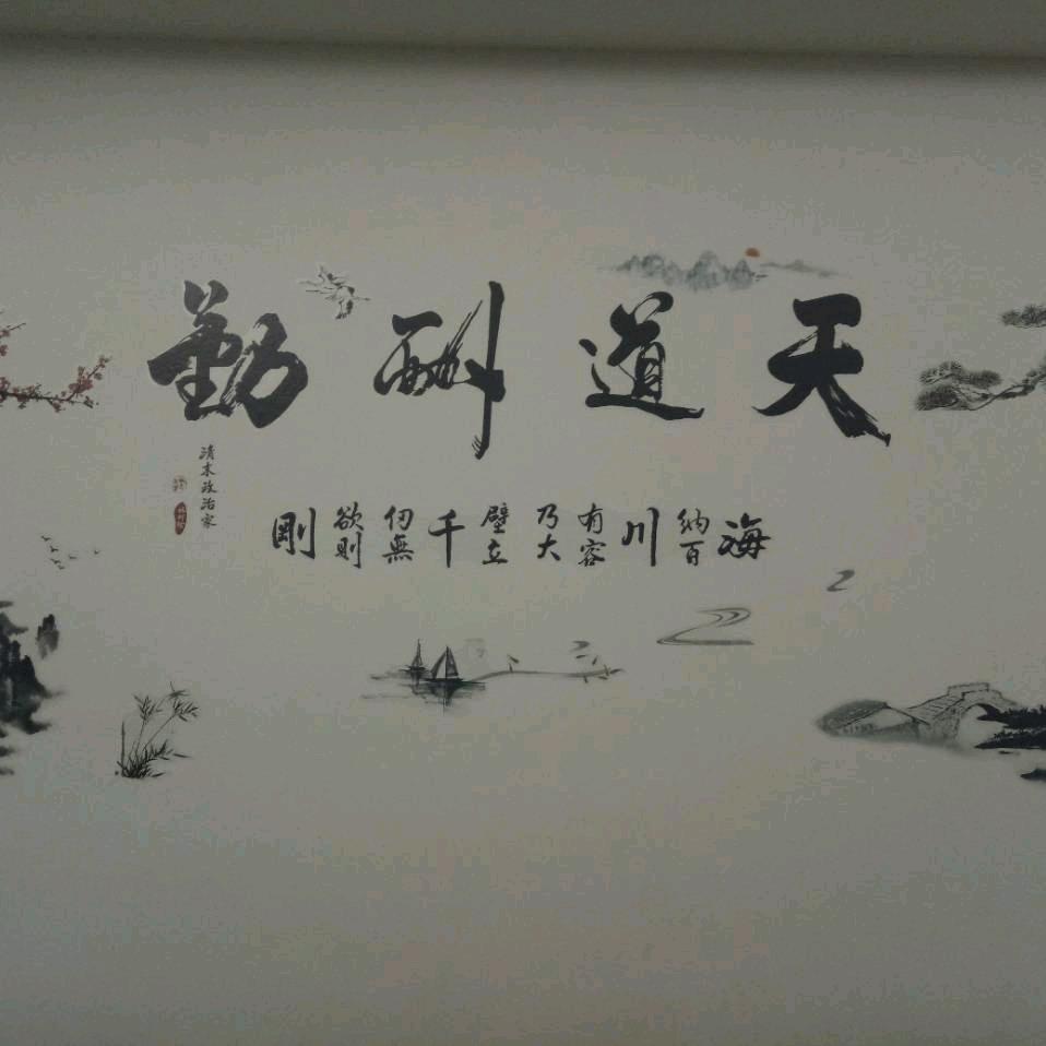 会飞的驼鸟