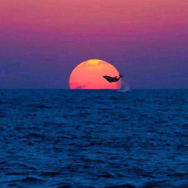 🇨🇳开心一刻🇨🇳