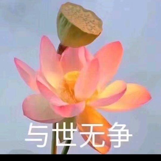 忘记
