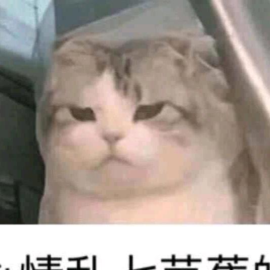 碱蓬（破产姐们）