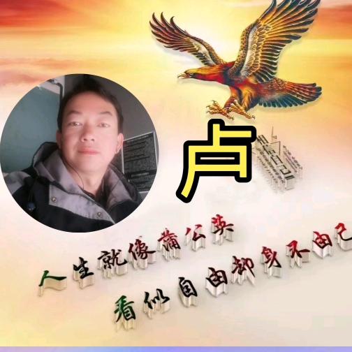 友哥.淡看红尘