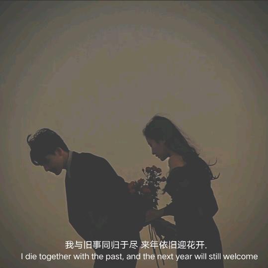 .乌贼↷