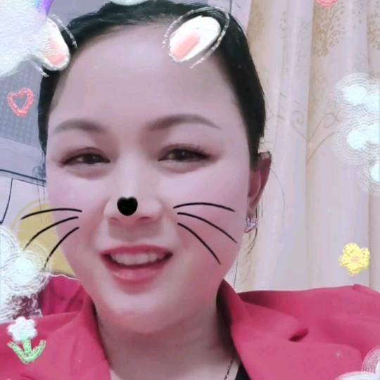 小燕子