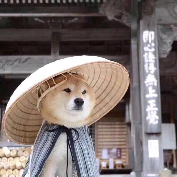 久雾