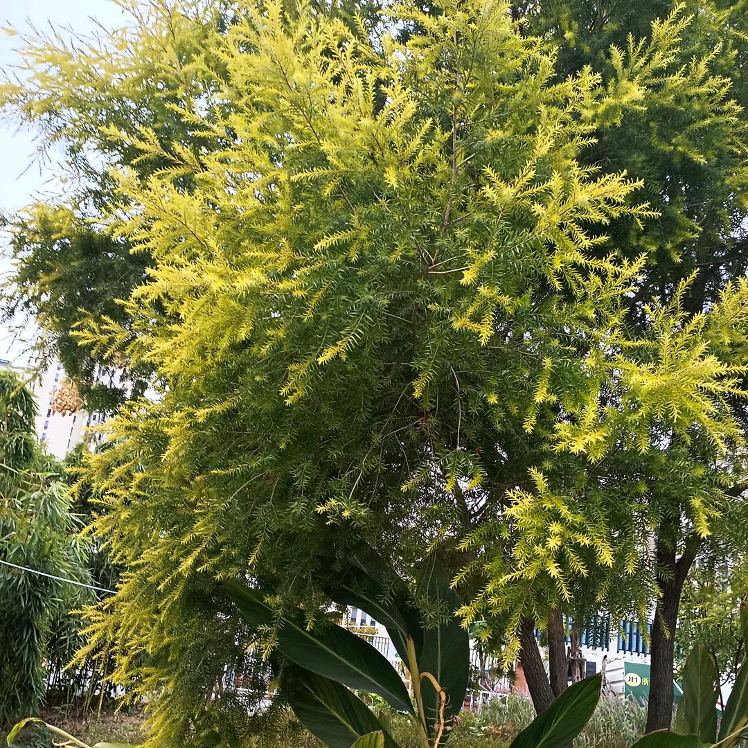 用户5563158367503