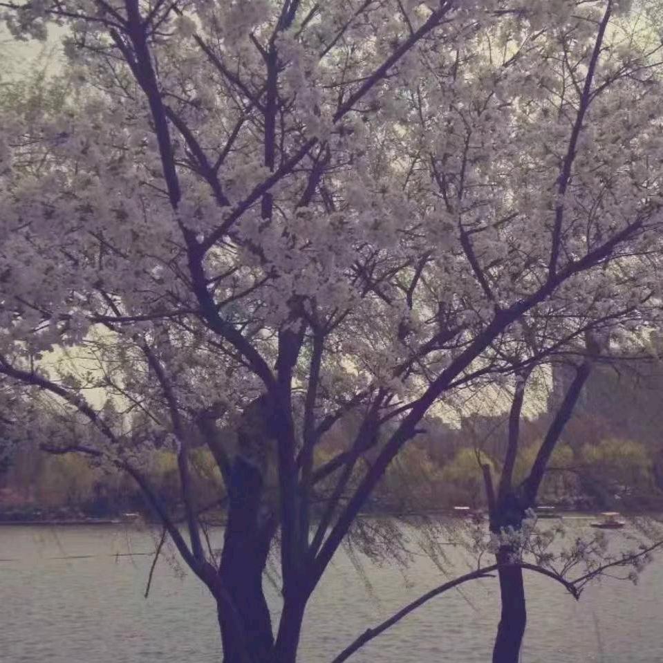 无，，